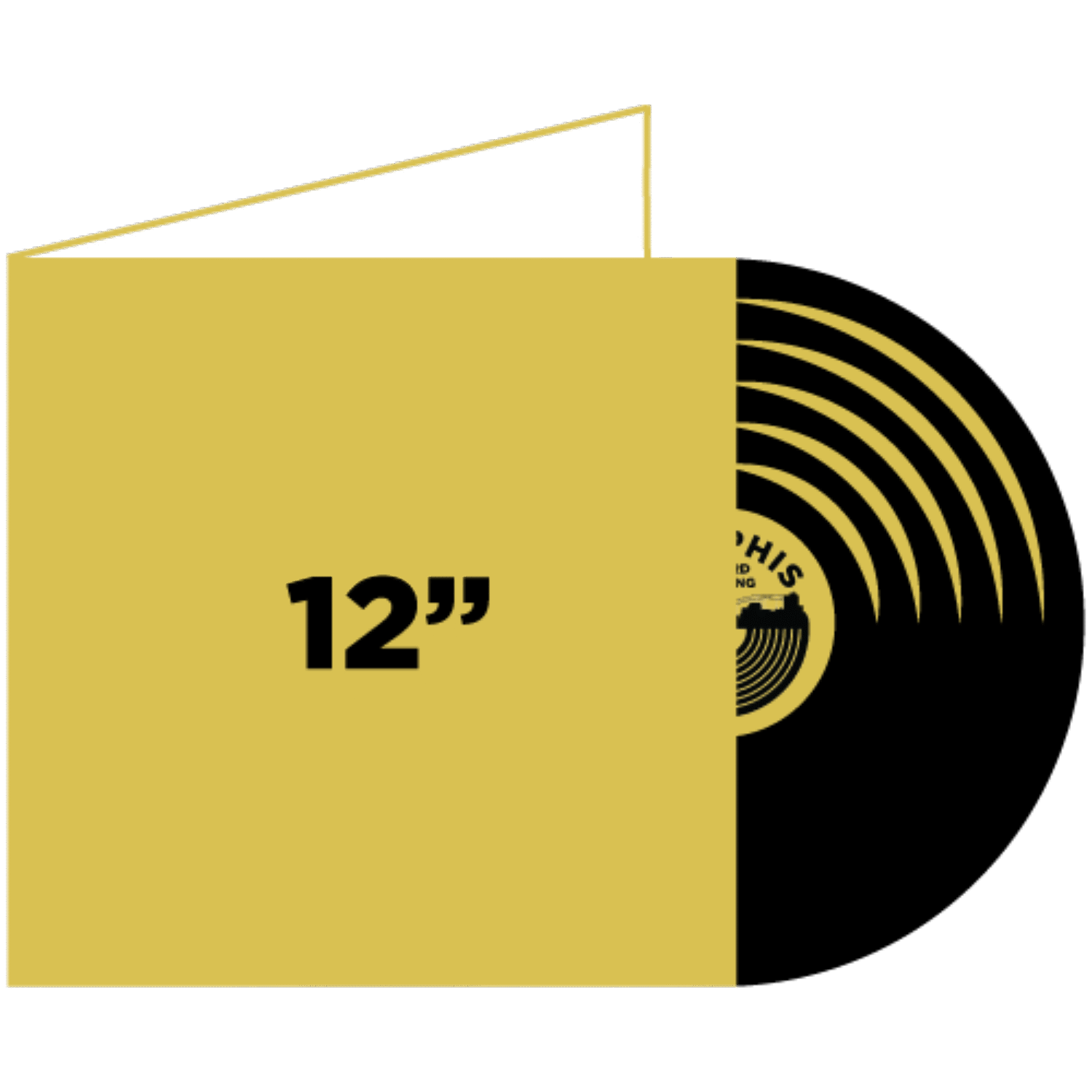 12 inch gatefold jacket